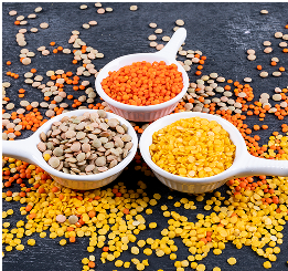 Pulses